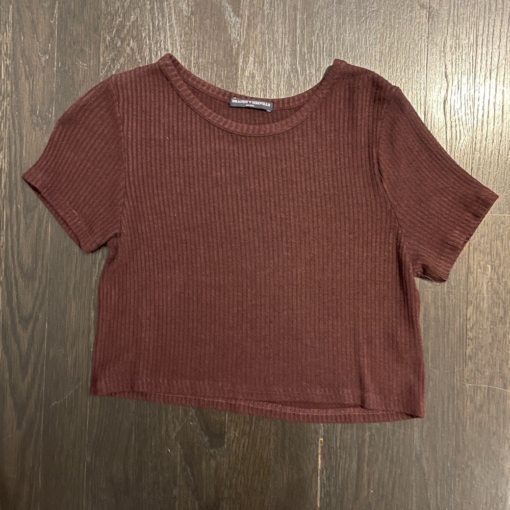 Brandy Melville Crop Top